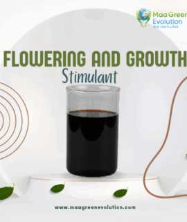 Flowering and Growth Stimulant