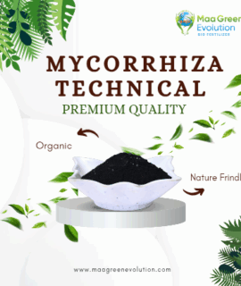 Mycorrhiza Technical Premium Quality