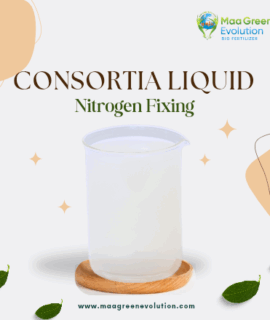 Nitrogen Fixing Consortia