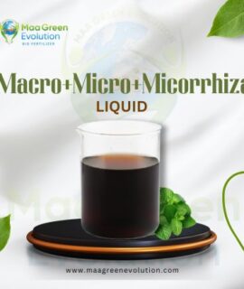 Macro + Micro Nutrient + Mycorrhiza
